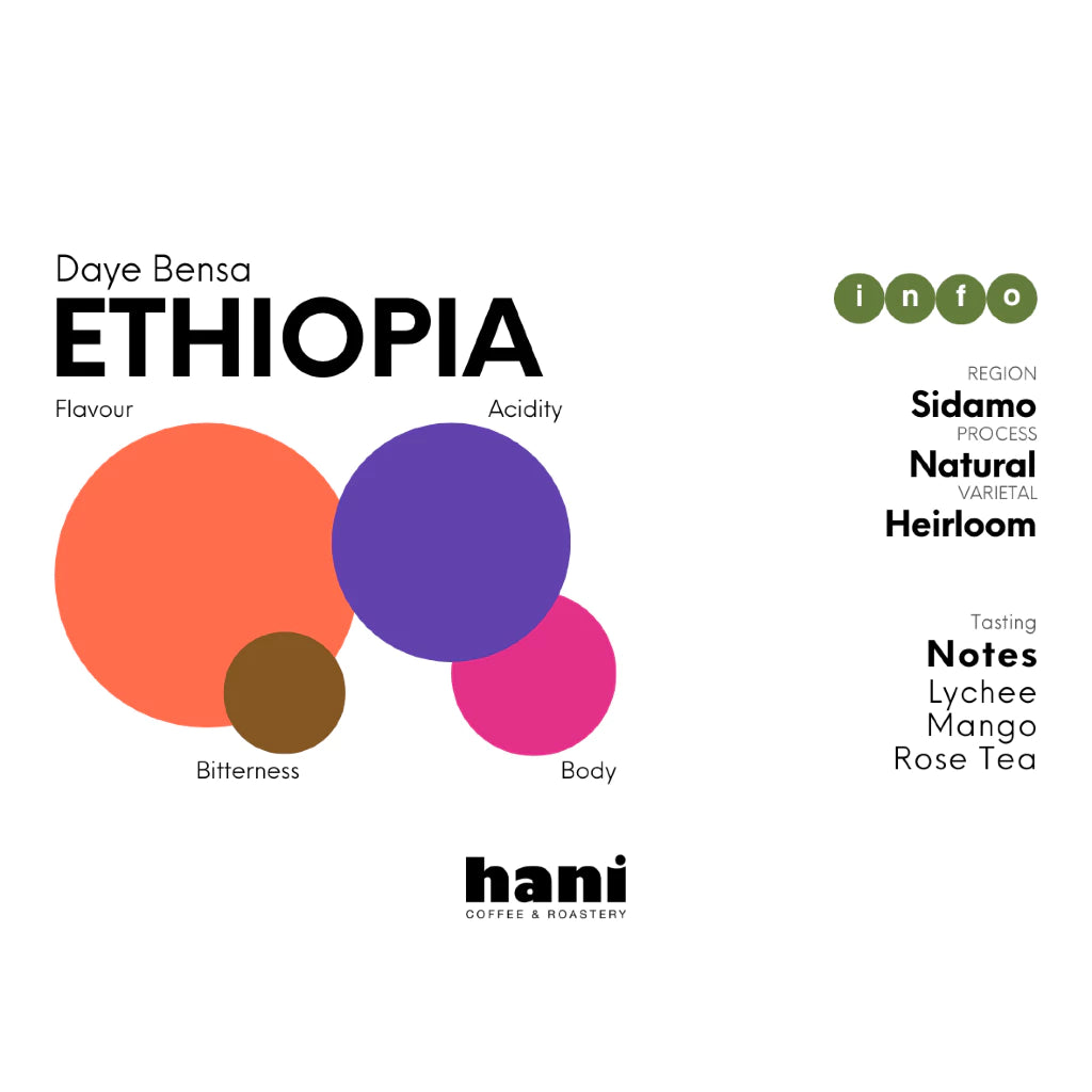 Ethiopia Daye Bensa