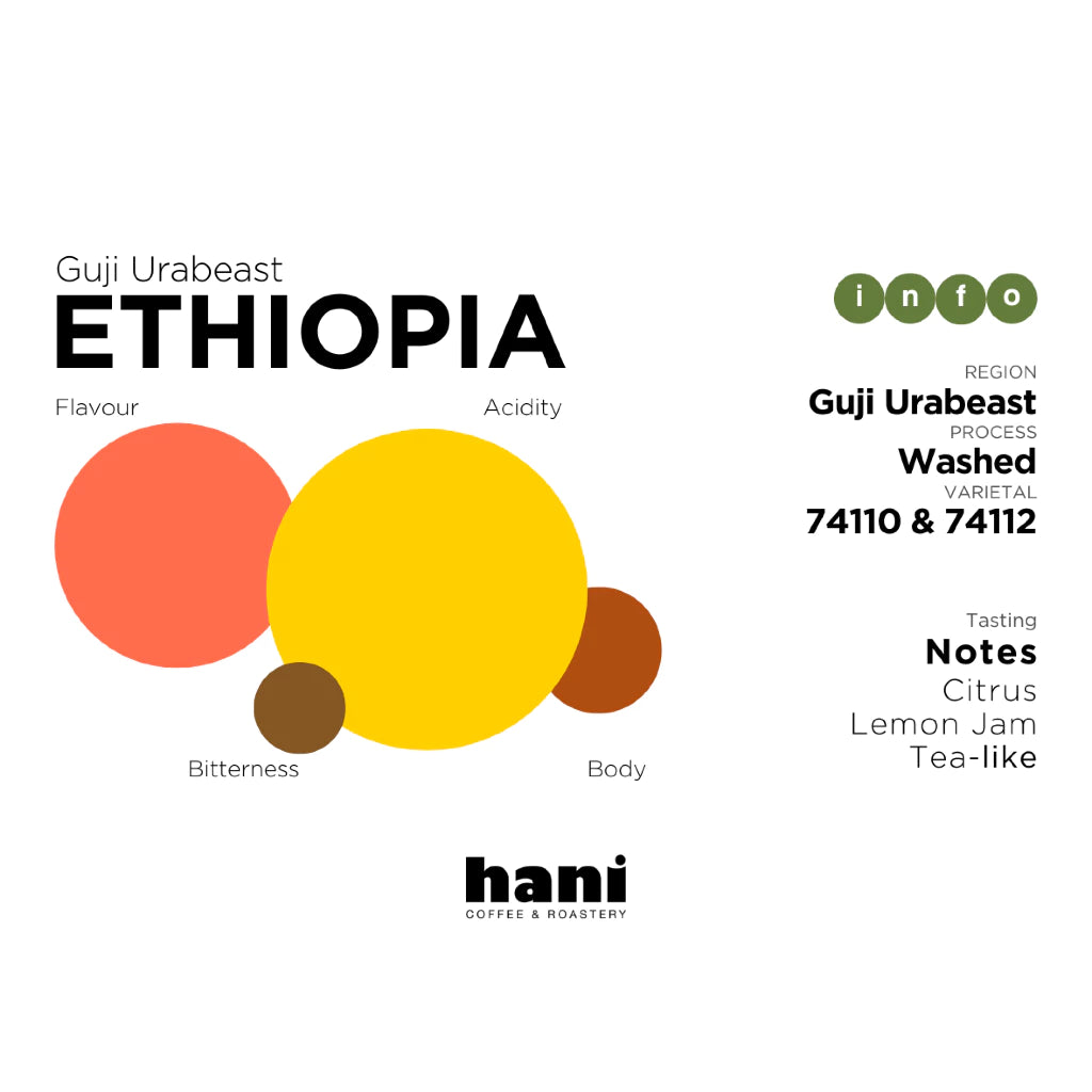 Ethiopia Guji Urabeast Washed