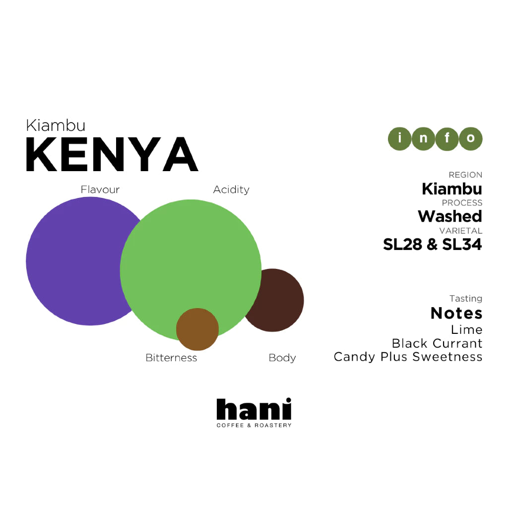 Kenya Kiambu AA Washed